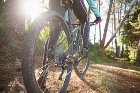 Low section of female mountain biker riding bicycle in forest
