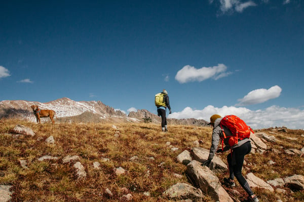 Wilderness Hike—Photo Credit Holly Mandarich (unsplash)