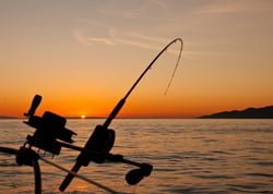 Fishing at sunset Photo credit: James Wheeler (Unsplash)